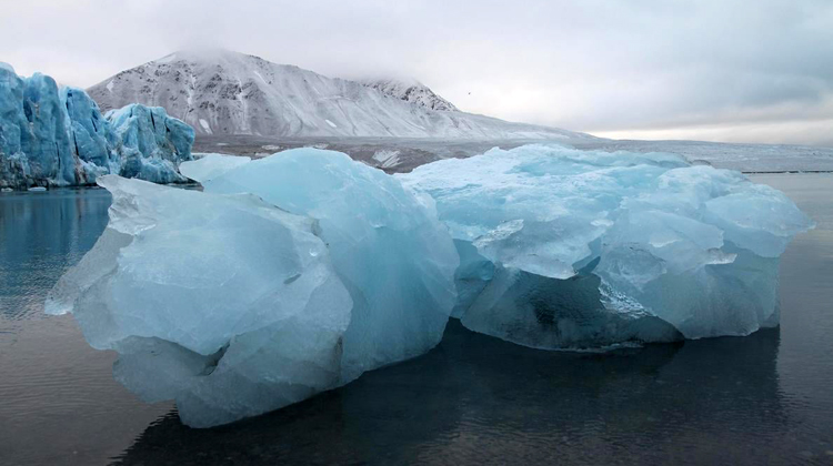 127836767 3491408744306904 1833608550362816324 n