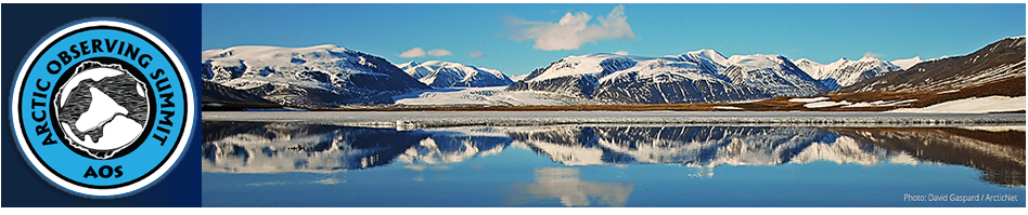 Arctic Observing Summit