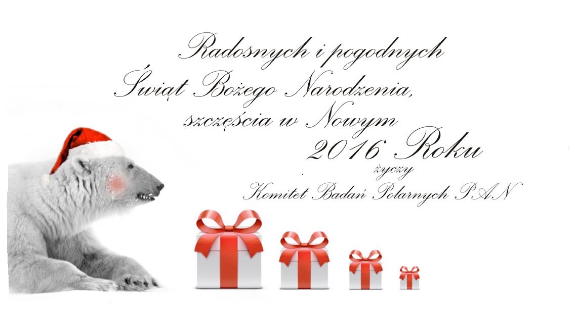 Bozonarodzeniowa 2015