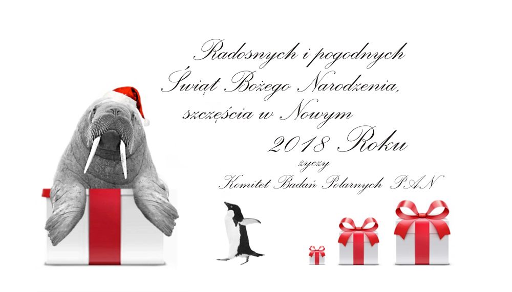 Bozonarodzeniowa 2017