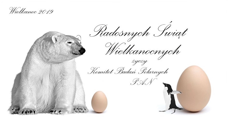 Bozonarodzeniowa 2019